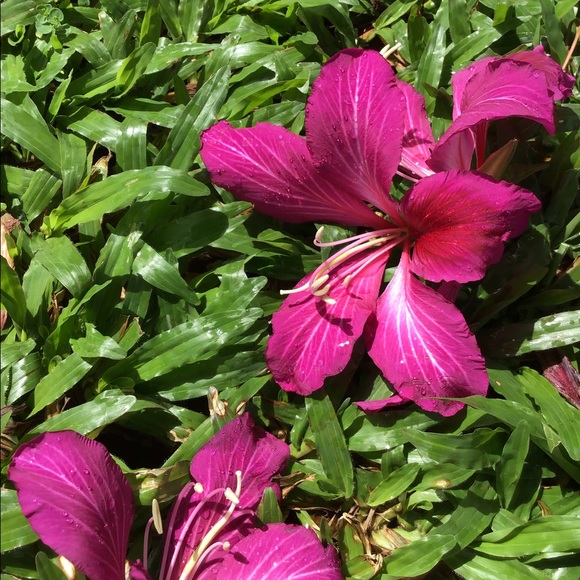 ππ€ Listing Information - Picture 3 of 6